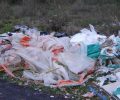 PlastiquesMPL-1920x1081-140k-1024x577